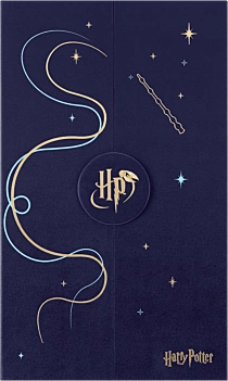 Caja de coleccionista edición limitada Protego Maxima Harry Potter Moleskine