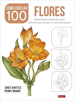 Como desenhar 100 flores Das formas básicas aos desenhos em passos simples Vários Inglês