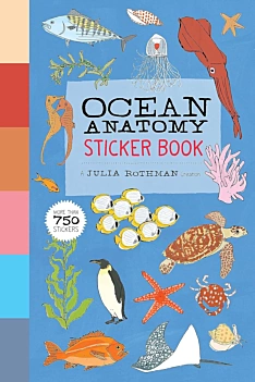 Ocean Anatomy Sticker Book J Rothman Inglés