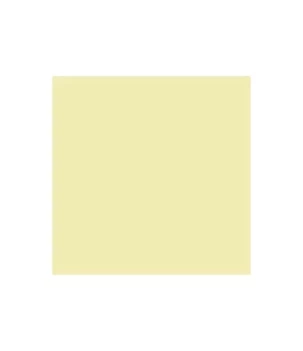 SUPER DEAL **60%** Stamperia Acrylic Paint Allegro Wheat 473ml