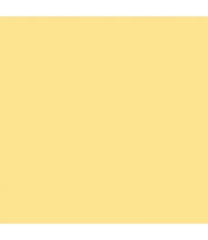 SUPER DEAL **60%** Stamperia Acrylic Paint Allegro Shell 473ml