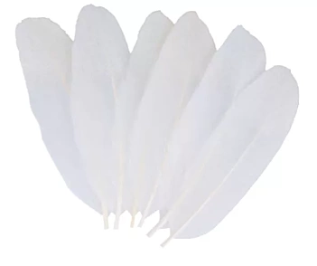 Plumes scintillantes Artemio blanc