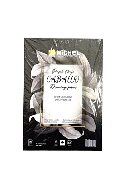 Bloc de Dibujo Superficie Alisada Michel A4
