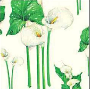 Papel Flores Callas Tassotti