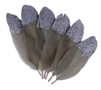 Plumes scintillantes Artemio Grey