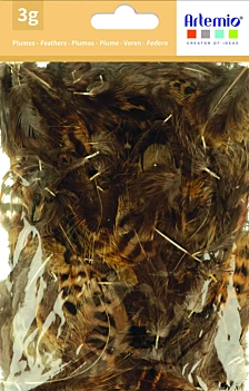 Artemio Brindle Feathers Fall In Love