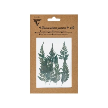 Clairefontaine Set 10 Dry pressed green leaves
