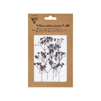 Clairefontaine Set 10 Dried pressed lavender flowers