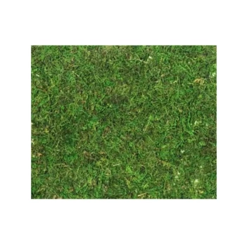 Feuille de gazon synthétique Artemio 30x30cm