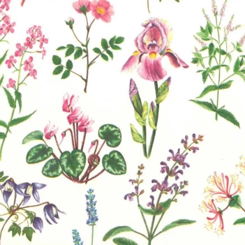 Papel Tassotti Herboristería