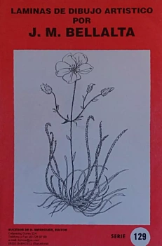 Artistic drawing plates 129 Flowers II JM Bellalta Castellano