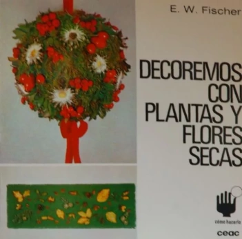 Vamos decorar com plantas e flores secas Coleção como fazer E W Fischer Castellano