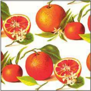 Papel Naranja Tassotti