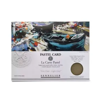Papel Pastel Card Gris Claro Sennelier 40x30cm