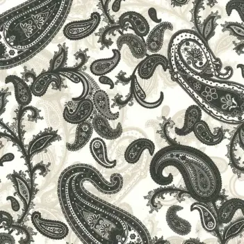 Papel Tassotti Paisley