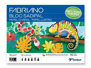 Bloc Loisirs Créatifs papier laqué couleurs Fabriano 24x32cm 80g/m²