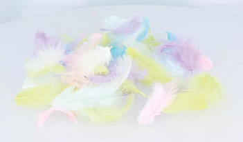 Rainbow Coloured Feathers