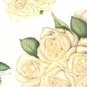 Papel Tassotti Rosa blanca